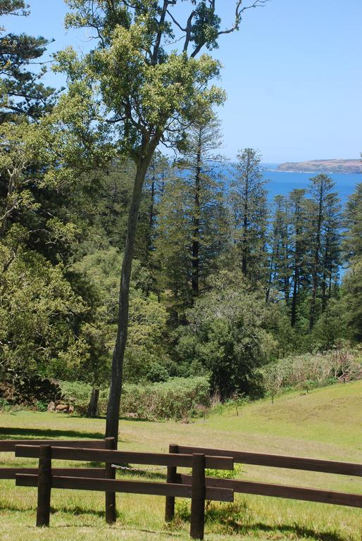 バーント・パインCoast Norfolk Islandアパートメント 部屋 写真